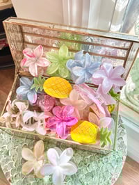 Image 1 of Hair Clips