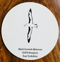 Image 3 of Black-browed Albatross Coaster