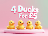 Lucky Ducky | 4 x Mini Items For £5 