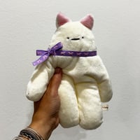 Cream Kitty Bloog