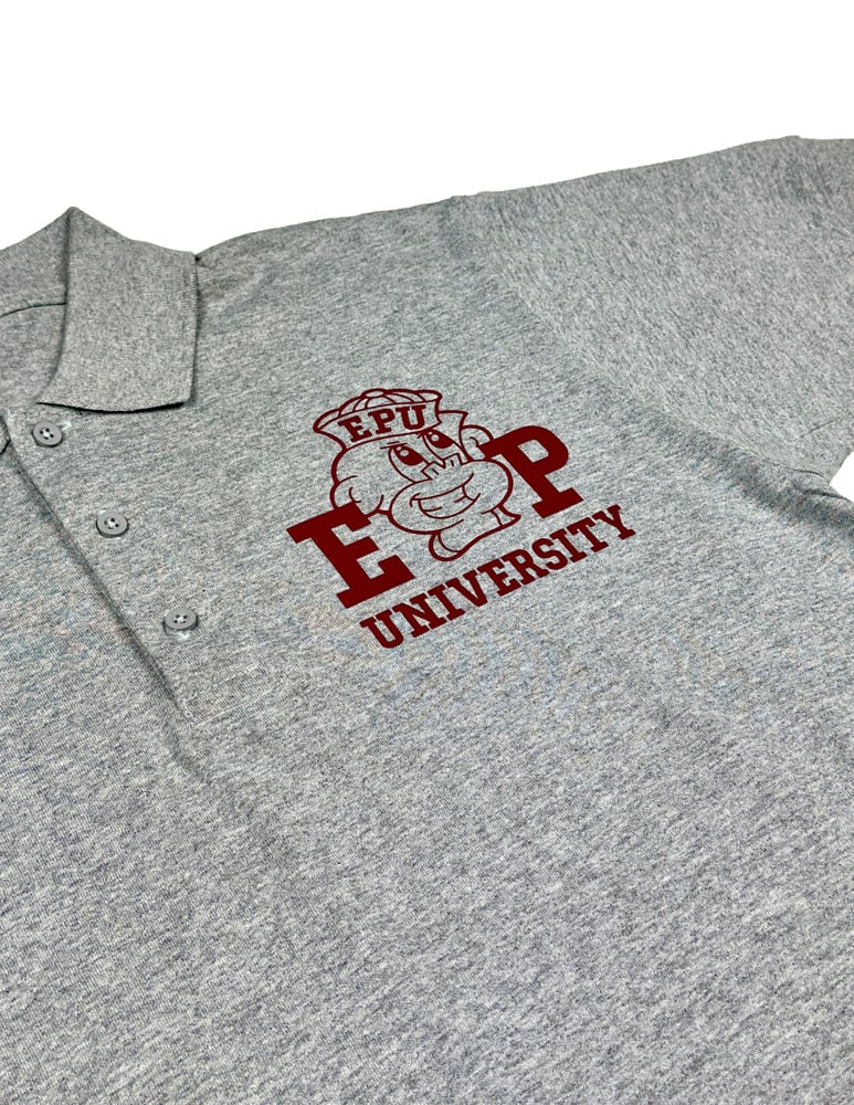 Image of Enigma Project University Polo Shirt.