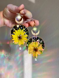 Image 2 of 🌙🌼Sunlight Daisies🌼🌙