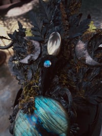 Image 5 of Empress Coyote skull candelabra 
