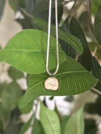 Image 6 of Pearly Whites