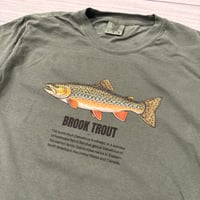 Image 2 of Brook Trout Tee