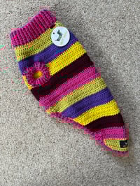 Image 2 of Stripy Snazz