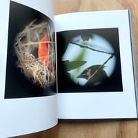 Image 3 of Carol E. Richard’s - Dreams Of Birds