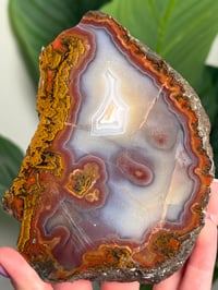 Image 2 of XL RED MOROCCAN AGATE A