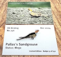 Image 1 of Pallas's Sandgrouse - No.156 - UK Birding Pins 