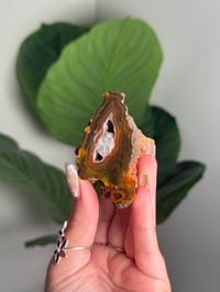 CONDOR AGATE WITH OPTICAL CALCITE IN DRUZY POCKET -ARGENTINA- #15
