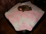 Image of Handmade Crocheted Baby Blanket Orders Taken (Medium)