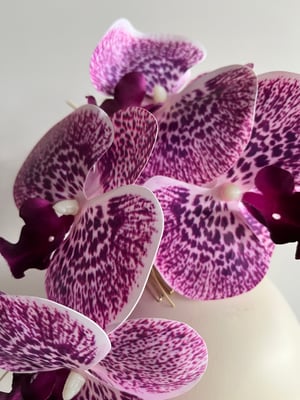 Image of Rich lavender orchids