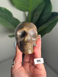 Image 13 of CHOOSE YOUR OWN SEA JASPER SKULL -MADAGASCAR-