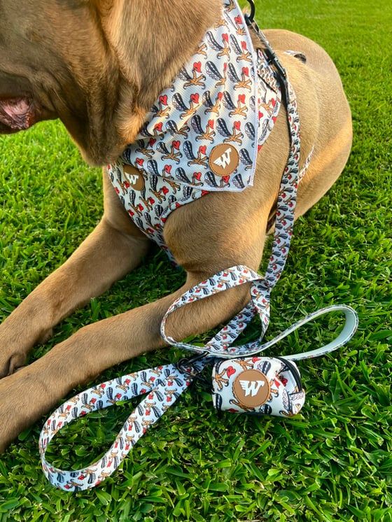 Image of Wedgies Dog Pack 