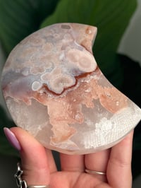 Image 3 of HQ FLOWER AGATE MOON -MADAGASCAR- 