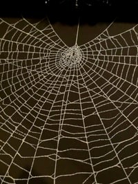 Image 3 of Gothic sideway black ornate framed preserved web -large