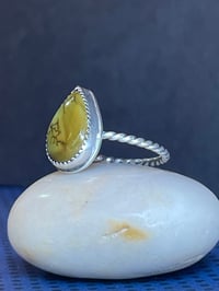 Image 4 of Teardrop Turquoise 