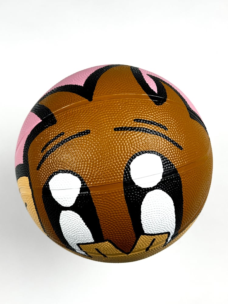 Image of Enigma Project Basketball : Pink Edition.