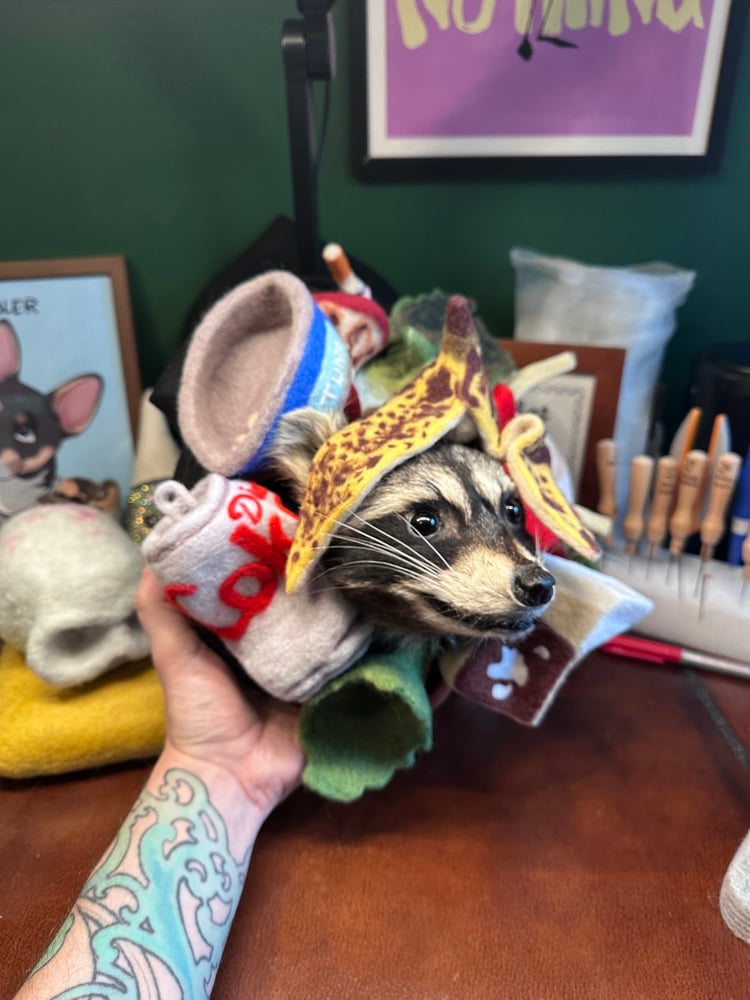 Image of Trash Panda’s Delight