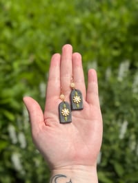 Image 1 of coreopsis
