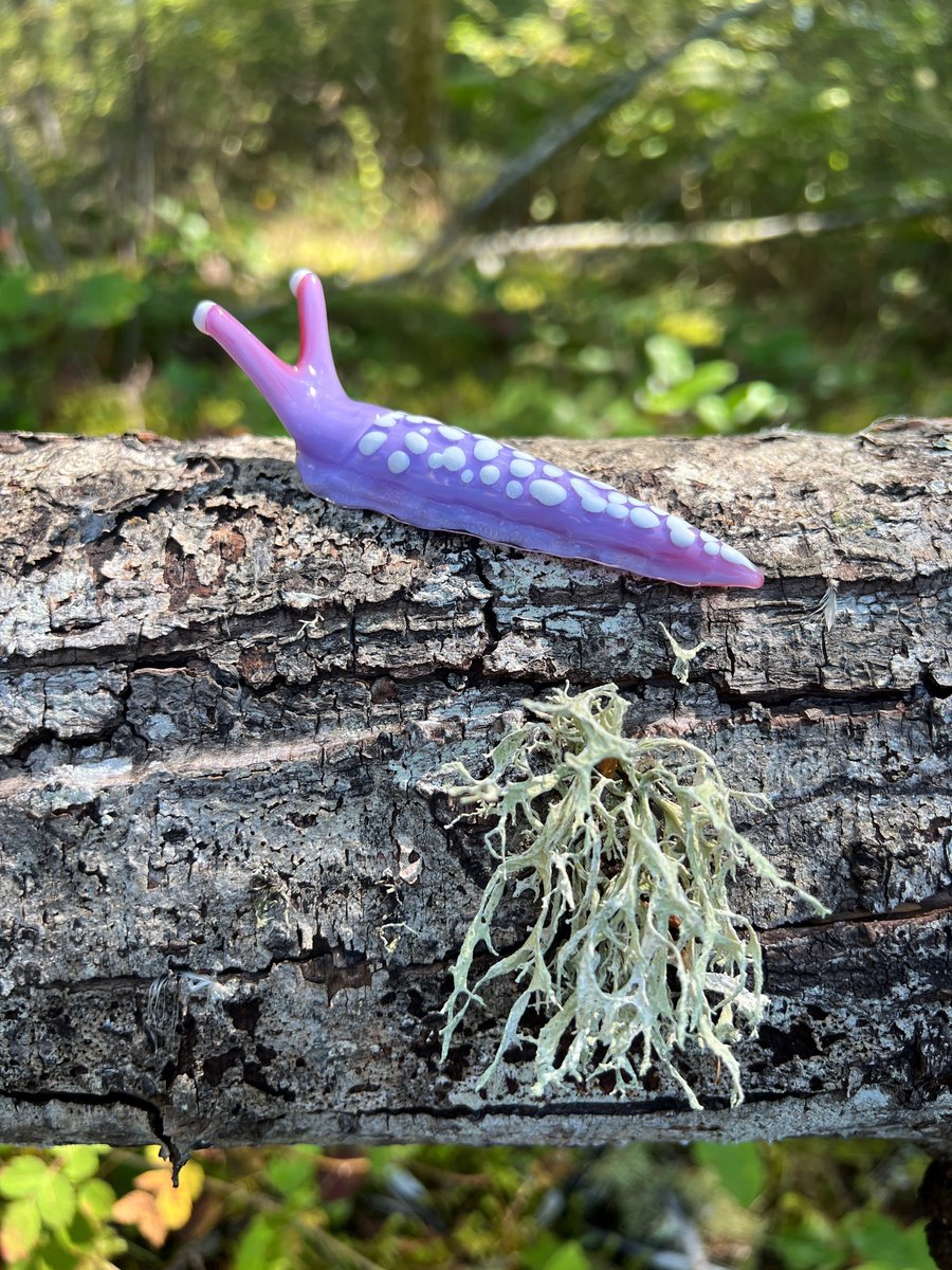 Image of Purple Boro Slug