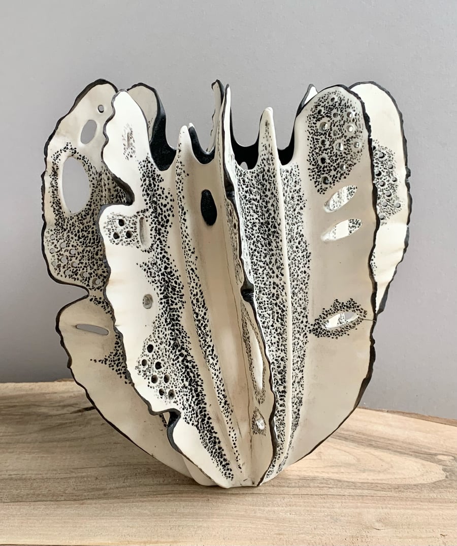 Image of Black and White Coral 