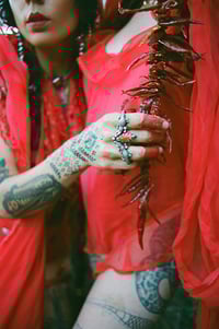 Image 1 of Alligator Knuckles