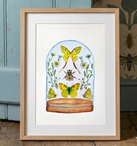 Image 3 of Insect Art Print April Dome, Under Glass Collection copy