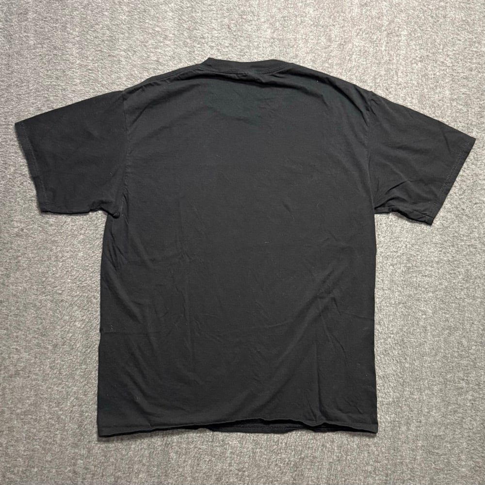 Image of 2000s Fried Chicken Parody Humor Graphic Tee (L)