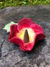 Altar Flower
