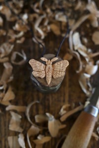 Image 3 of Moth Pendant Necklace