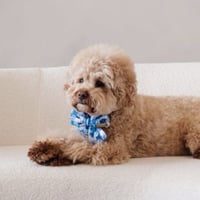 Image 1 of CROCHET BOW - INDIGO