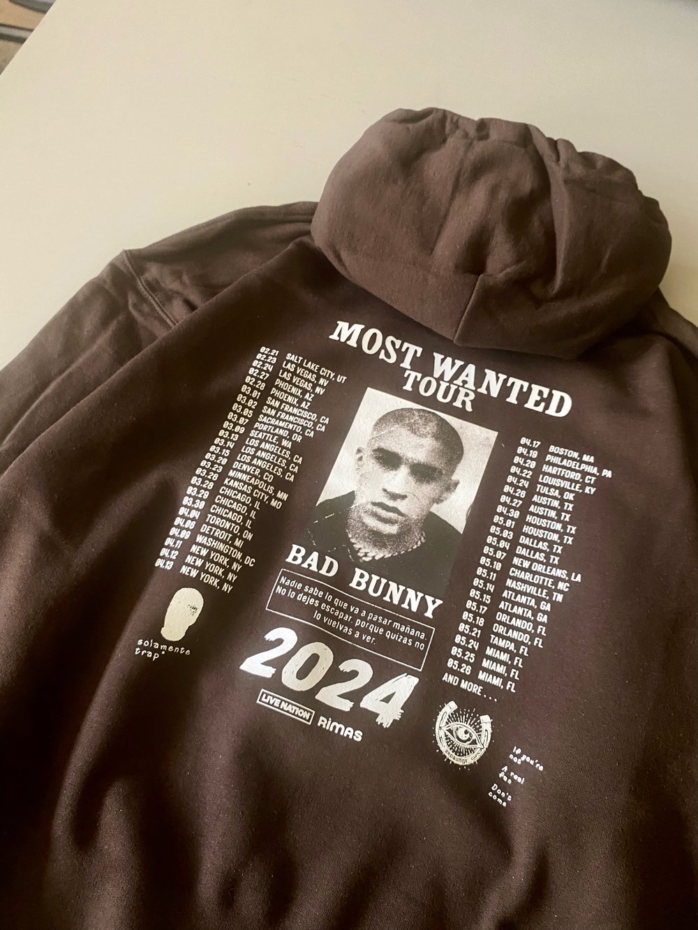 Image of MOST WANTED TOUR HOODIE ROYAL & BROWN