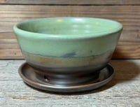 Image 3 of Walnut/green planter- small