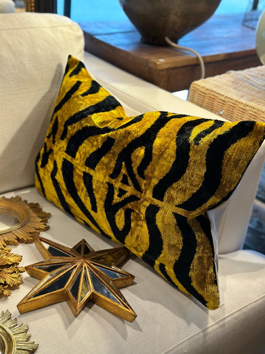 Image of Ikat Velvet Tiger Cushion II