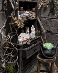 Image 10 of The Witch’s Apothecary