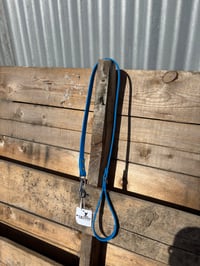 Cyan Blue Lead