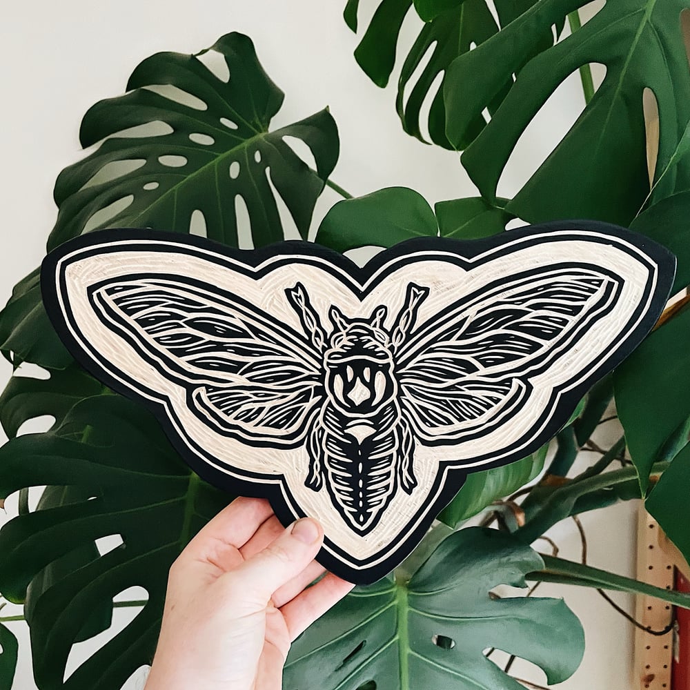 Image of Cicada wings open Woodcut