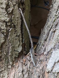 Image 4 of Surprise Forged Hobby Knife