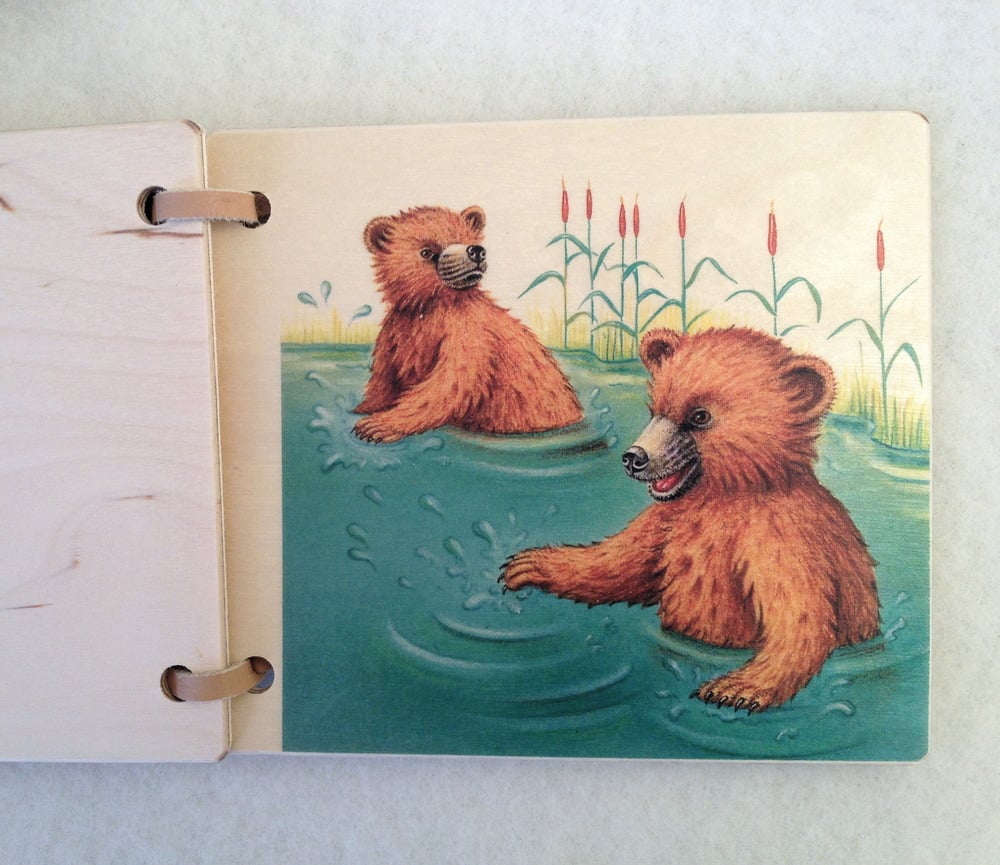 Image of Little Bears Book