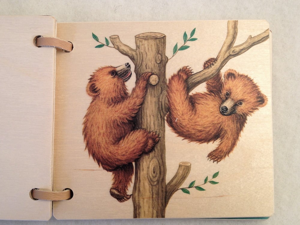 Image of Little Bears Book