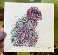 Vulture Baby Print
