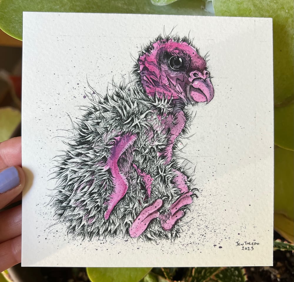 Image of Vulture Baby Print