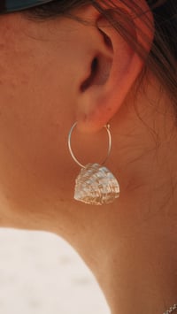 Image 1 of Pearly Top Hoops