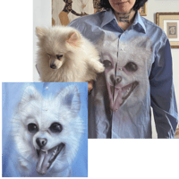 Image 4 of pet commissions