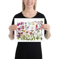 Image 9 of Garden Fireworks- Poster Print