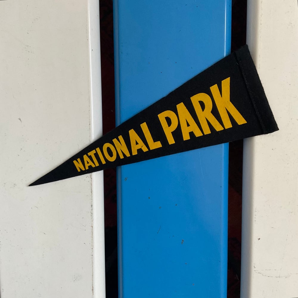 Image of Old Felt Pennant 