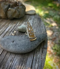 Image 1 of Fossilized palm ring 