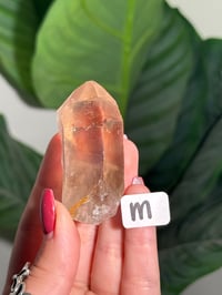 Image 14 of CHOOSE YOUR OWN NATURAL (UNPOLISHED) RUTILE IN QUARTZ POINT -BRAZIL-
