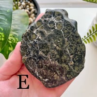 Image 5 of Kambaba Jasper Slab